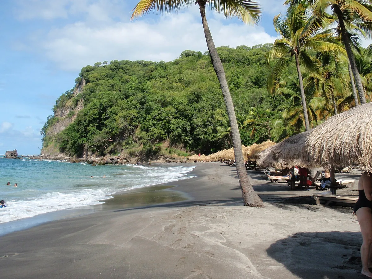 Palm-lined Caribbean bay under trade-wind clouds in the Saint Lucia dry season